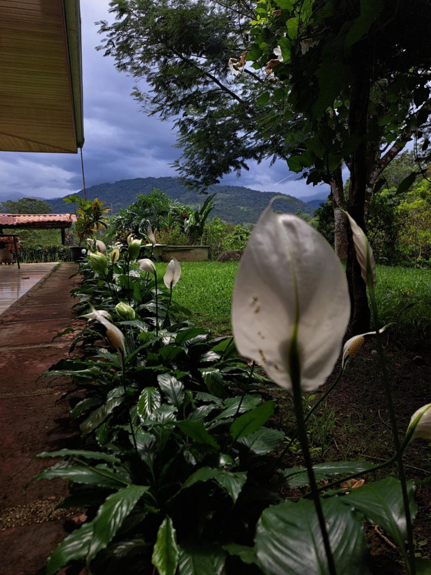 Hospedaje Luis & Ana Pejibaye Exterior foto