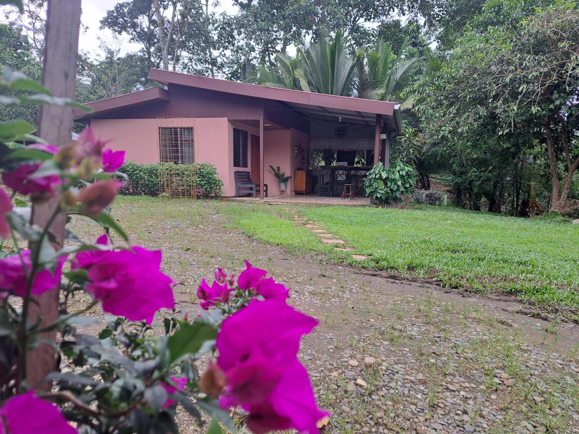 Hospedaje Luis & Ana Pejibaye Exterior foto